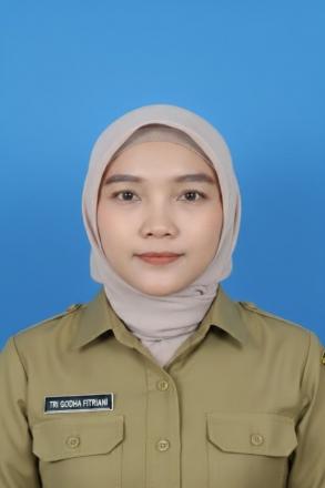 TRI GODHA FITRIANI, M.K.M / KEPALA URUSAN DANARTA